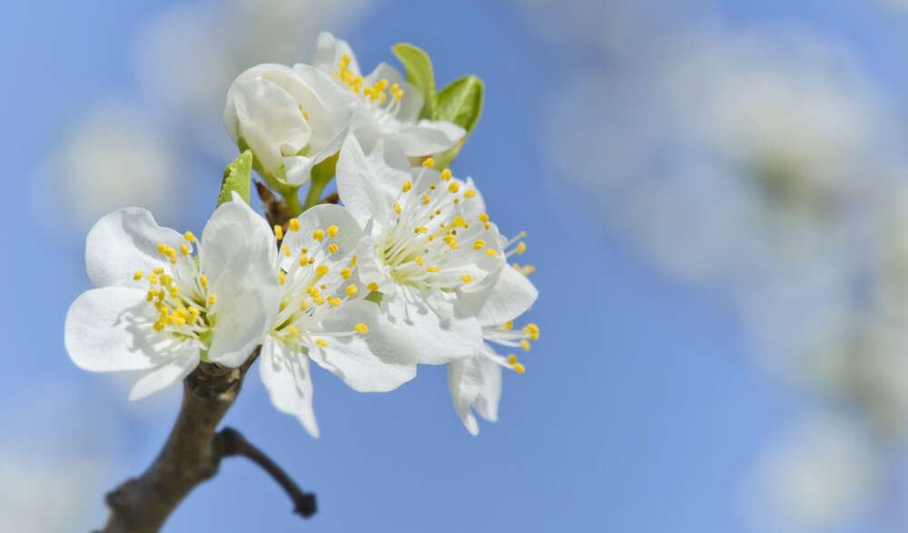 Fruehjahrsmuedigkeit