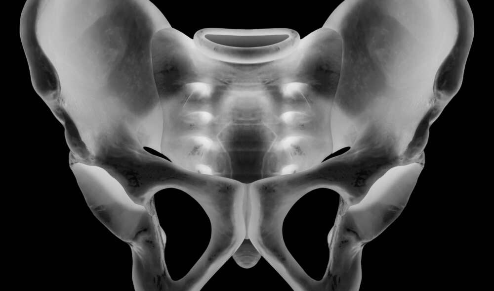 Istockphoto 914140918 1024x1024